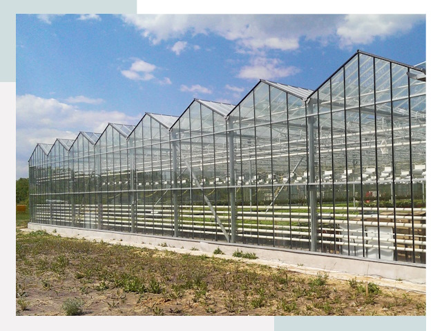 Строительство теплиц в Ялуторовск от 620 руб. за м²